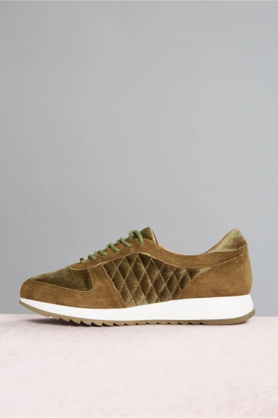 Shop Jaggar Quilted Sneaker In Khaki