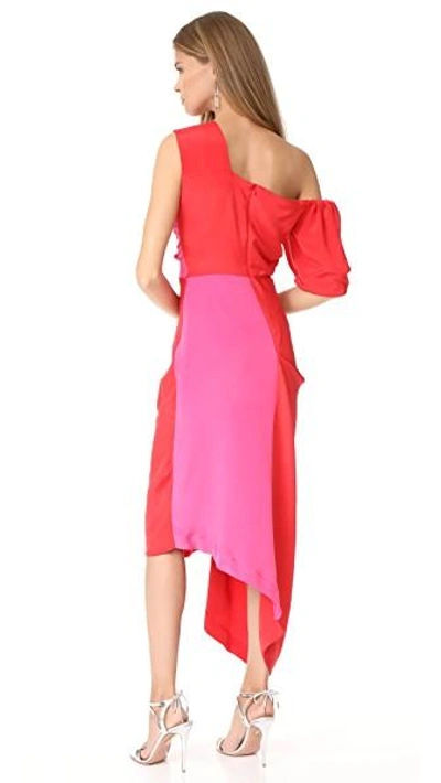 Shop Preen By Thornton Bregazzi Nicole Dress In Red/pink