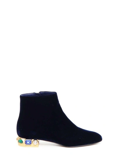 Shop Casadei Velvet Ankle Booties In Blu