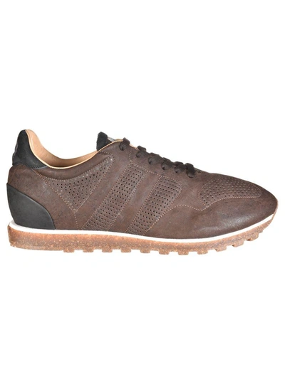 Shop Alberto Fasciani Alberto Fasciani ''sport'' Sneakers In Dark Brown