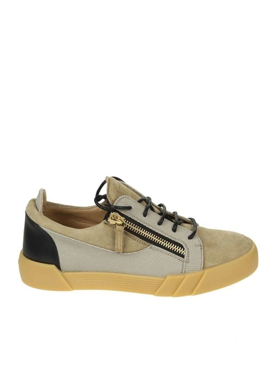 Shop Giuseppe Zanotti Sneaker The Shark 5.0 Low In Beige