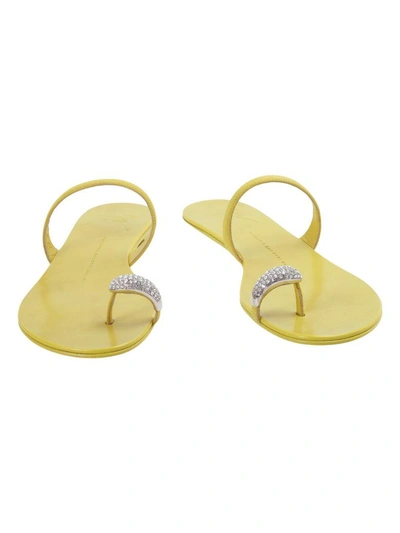 Shop Giuseppe Zanotti Leather Sandals In Yellow