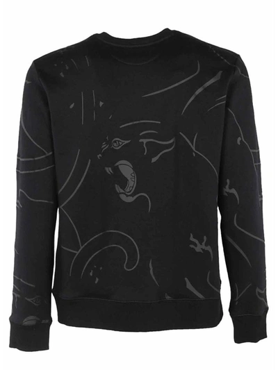 Shop Valentino Panther Sweatshirt