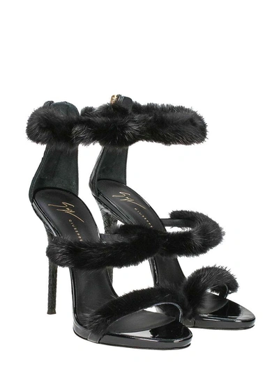 Shop Giuseppe Zanotti Harmony Winter Black Sandals