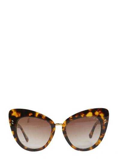 Shop Stella Mccartney Oversize Cat Eye Sunglasses In Marrone