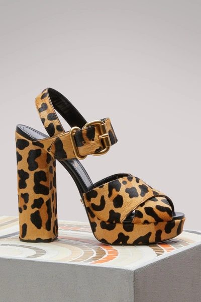Shop Prada Leopard Sandals In Nero Miele
