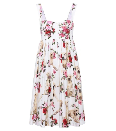 Shop Dolce & Gabbana Floral-printed Cotton Dress In Mimmo Foedo Liaeco