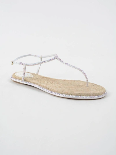 Shop René Caovilla T-bar Flat Sandals In Pink & Purple