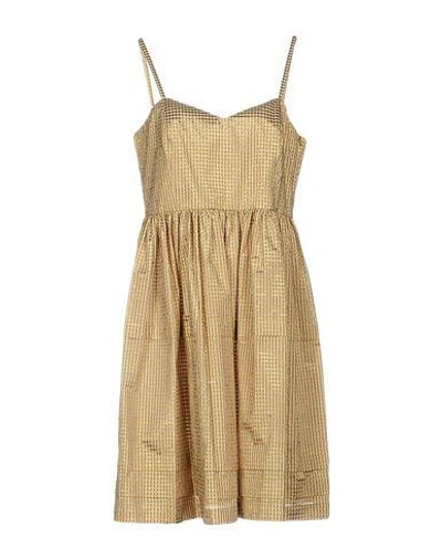 Shop Collection Knee-length Dresses In Gold