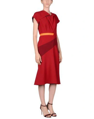 Shop Peter Pilotto In Red