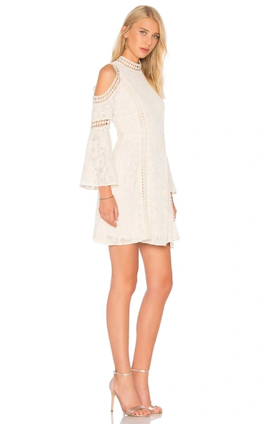 Shop Alice And Olivia Enya Dress In Ivory
