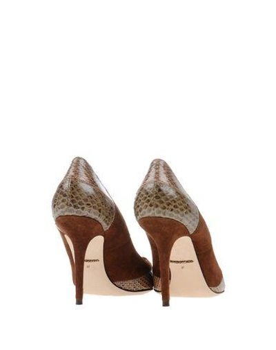 Shop Dolce & Gabbana Pumps In Brown