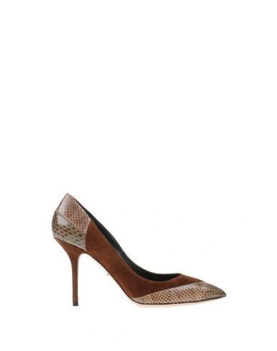 Shop Dolce & Gabbana Pumps In Brown