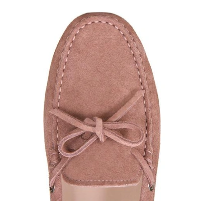 Shop Tod's For Ferrari Gommino Driving Shoes In Suede In Pink