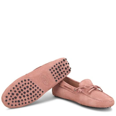 Shop Tod's For Ferrari Gommino Driving Shoes In Suede In Pink