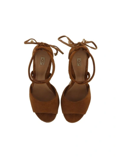Shop Ugg Reagan Wedge Sandals In Chestnut