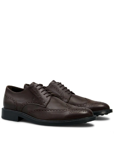 Shop Tod's Lace-up In Leather In Dark Brown