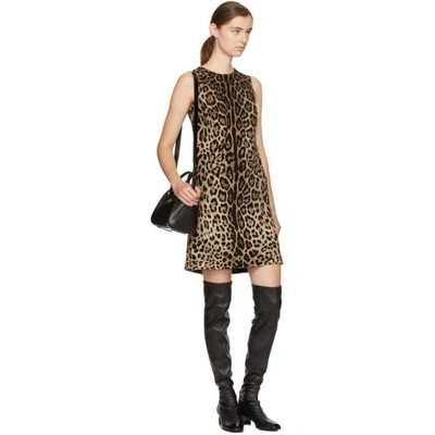 Shop Dolce & Gabbana Multicolor Leopard Dress