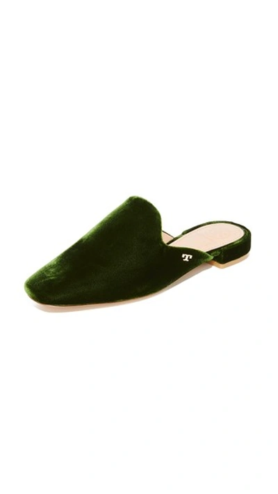 Tory Burch Carlotta Velvet Mules In Banana Leaf