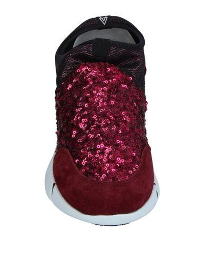 Shop Elena Iachi Sneakers In Garnet