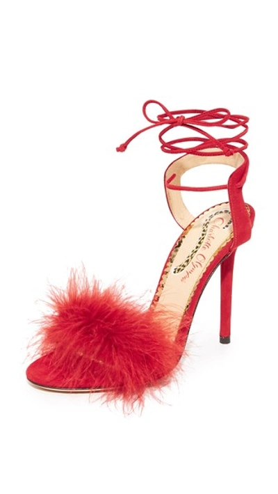 Shop Charlotte Olympia Salsa 110 Pumps In Red