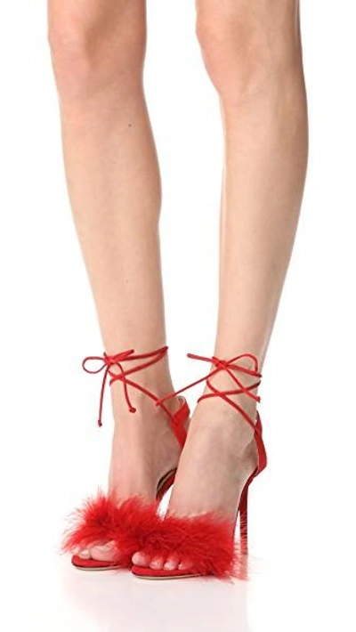 Shop Charlotte Olympia Salsa 110 Pumps In Red