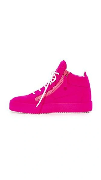 Shop Giuseppe Zanotti High Top Zip Sneakers In Rosa
