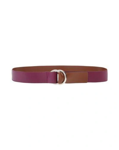 Shop Pinko Regular Belt In Mauve