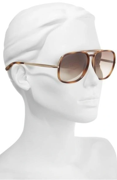 Shop Chloé 60mm Gradient Lens Navigator Sunglasses In Tortoise