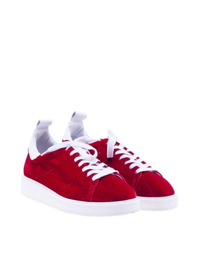 Shop Golden Goose Deluxe Brand Velvet Starter Sneakers In Red
