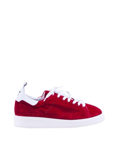 Shop Golden Goose Deluxe Brand Velvet Starter Sneakers In Red