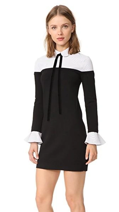 Shop English Factory Ruffle Combo Shirtdress In Black/stripe