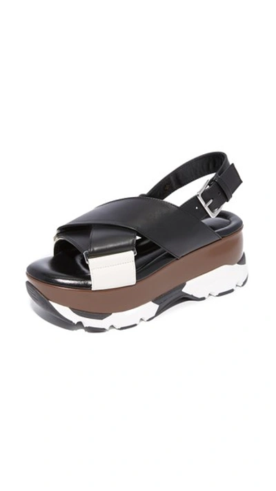 Marni Sporty Flatform Sandals In Black/limestone