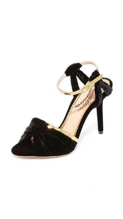 Charlotte Olympia Broadway Leather-trimmed Velvet Sandals In Black