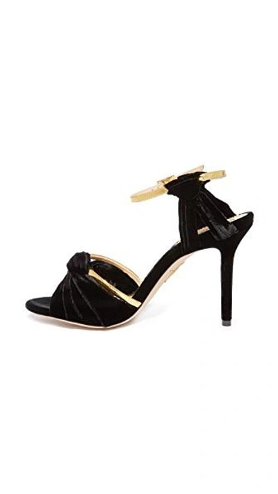 Shop Charlotte Olympia Broadway Pumps In Black