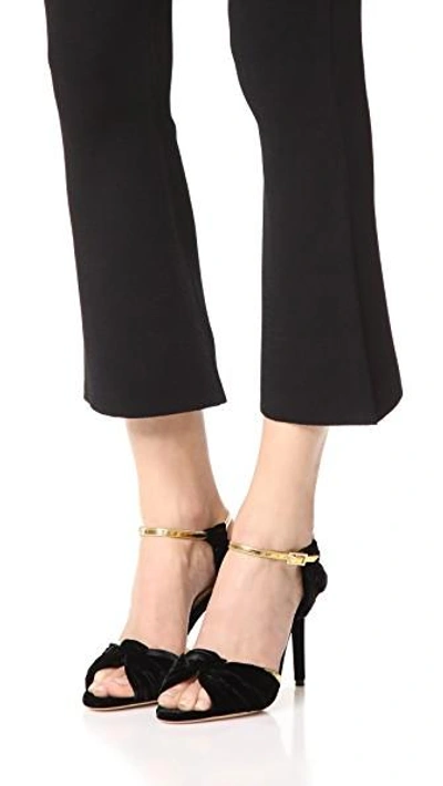 Shop Charlotte Olympia Broadway Pumps In Black