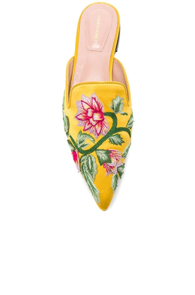 Shop Alberta Ferretti Embroidered Mules In Yellow,floral In Gold