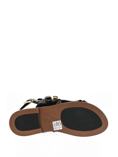 Shop Marni Sandal In Brown