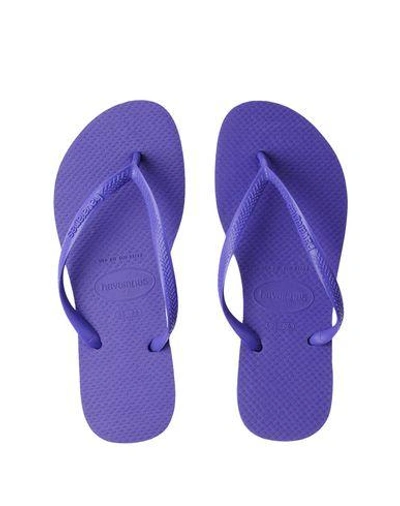 Shop Havaianas Flip Flops In Purple