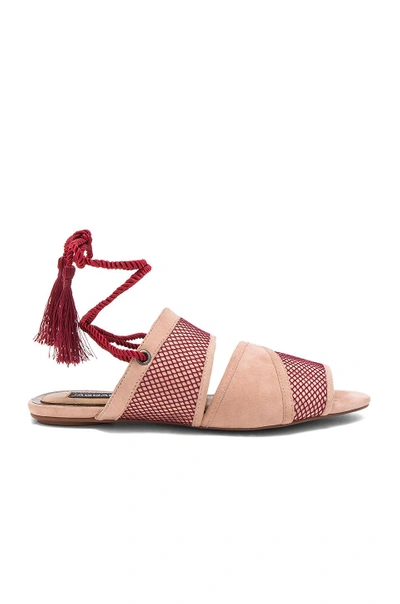 Shop Jaggar Split Lace Sandal In Nude