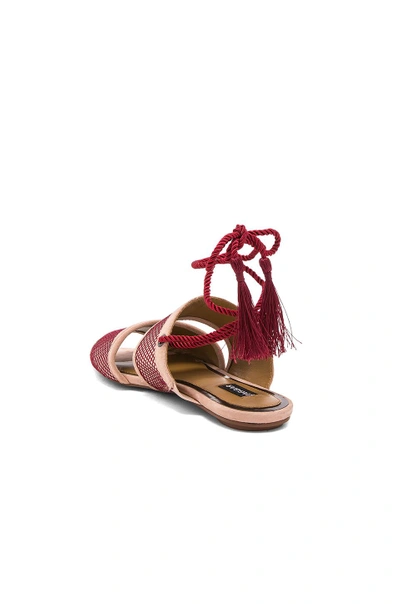 Shop Jaggar Split Lace Sandal In Nude