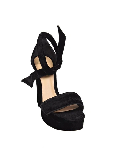 Shop Alexandre Birman Celine Sandals In Black