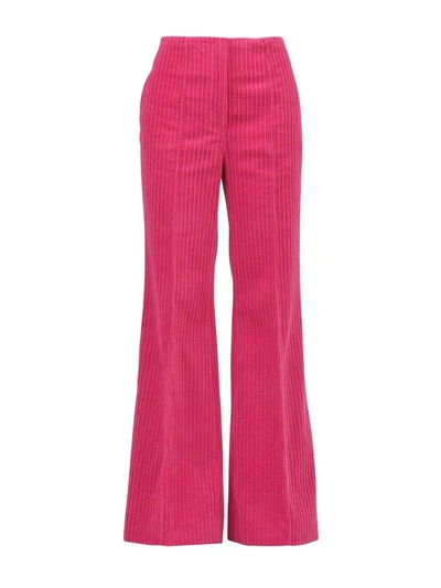 Celine Long Flare Trousers In Corduroy In Fuxia