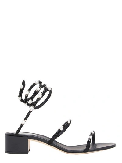 René Caovilla Sandal In Black