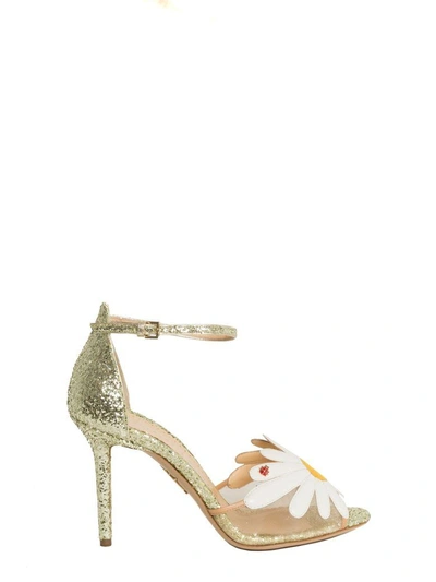 Shop Charlotte Olympia Sandal In Gold