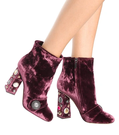 Shop Dolce & Gabbana Embellished Velvet Ankle Boots In Purple