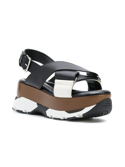 Shop Marni Sporty Flatform Sandals