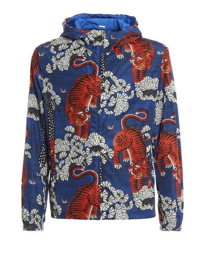 Shop Gucci Bengal Print Jacket In Multicolour