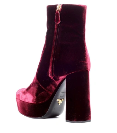 Shop Prada Velvet Plateau Ankle Boots In Red