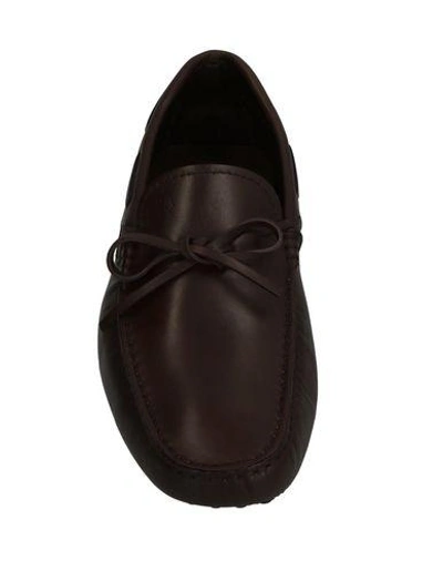 Tod's Loafers In Brown